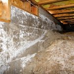 Crawlspace Mold Remediation in Louisa, Virginia