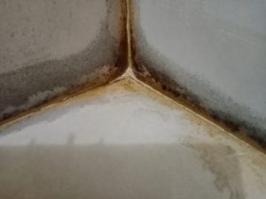 What Can I Do For Moisture Control?