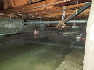 Reasons to Invest in Crawlspace Moisture Control