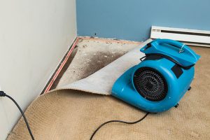 What to Expect from the Water Damage Repair Process