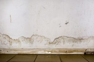 Waterproofing Basement Walls: Is Your Home at Risk?